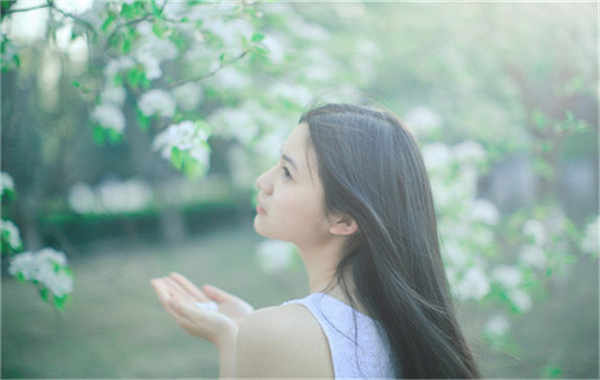 嘉禾验血查男女几周可以验(验血查男女结果图)
